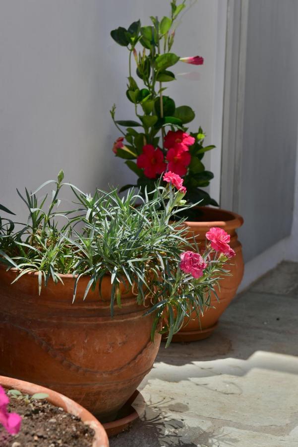 Feel At Home - Family House In Hydra Buitenkant foto